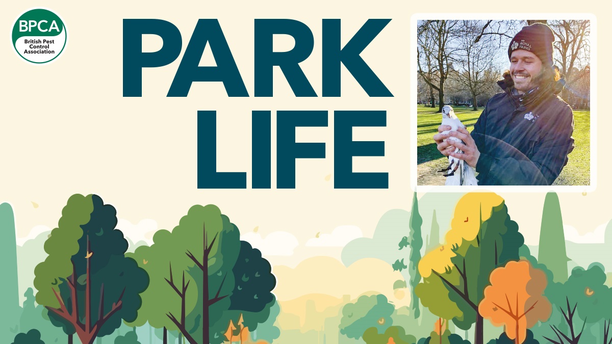 Parklife hero Parklife hero